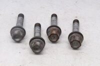 Wheel bolt set, rear wheel mounting, rim BMW R 1100 GS 259 0409 93-99