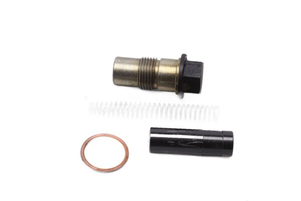 Jakoketjun kiristin, täydellinen oikea opas BMW R 1100 GS 259 0409 93-99
