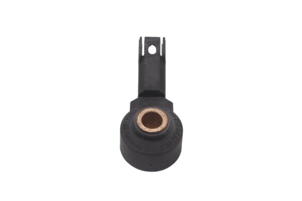 Sensor de detonación, sensor de motor, Bosch 0261231172 BMW R 1200 R R1ST K27 0378 07-10