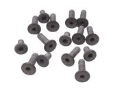 Viti per dischi freno con testa Torx a taglio BMW R 1200 R R1ST K27 0378 07-10