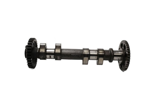 Albero a camme, albero di comando, ingranaggio di trasmissione, sistema di distribuzione BMW F 800 ST K71 0234 06-12