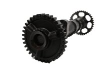 Albero a camme, albero di comando, ingranaggio di trasmissione, sistema di distribuzione BMW F 800 ST K71 0234 06-12