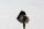 Cablaggio per fanale posteriore e indicatore di direzione, connessione elettrica BMW F 800 ST K71 0234 06-12