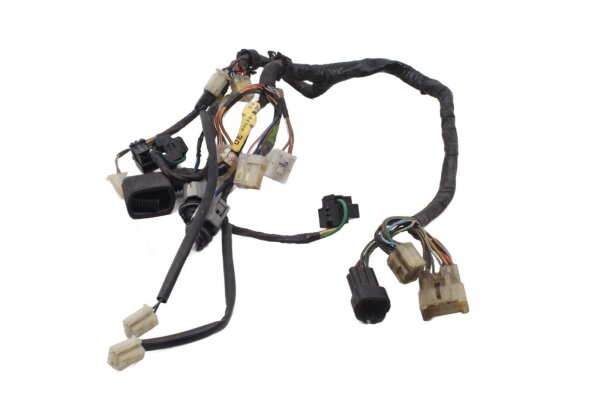 Cablaggio illuminazione fari anteriori linea principale Yamaha FJR 1300 RP11 04-05