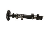 Albero a camme, scarico, albero di distribuzione, ingranaggio, sistema di distribuzione BMW F 800 ST K71 0234 06-12