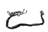 Faisceau de câbles, tableau de bord, éclairage BMW R 1100 GS 259 0409 93-99