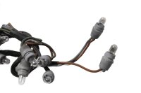 Faisceau de câbles, tableau de bord, éclairage BMW R 1100 GS 259 0409 93-99