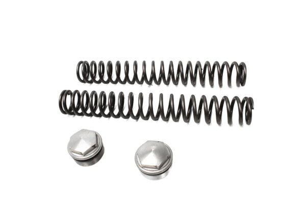 Fork leg spring set with lock, left and right Motorrad Zubehör universell
