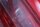 Achterlicht, reflector, remlicht, achterlicht BMW F 800 ST K71 0234 06-12