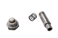 kettingspannerveer BMW F 800 ST K71 0234 06-12