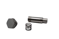 kettingspannerveer BMW F 800 ST K71 0234 06-12
