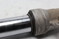 Gambo della forcella destro, tubo ammortizzatore, tubo della forcella, sospensione BMW F 800 ST K71 0234 06-12