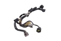 Cablaggio, sistema di iniezione, iniettore, cavi elettrici Yamaha FJR 1300 RP11 04-05