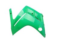 Pannello laterale destro Yamaha FJR 1300 RP11 04-05