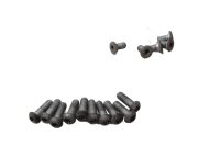 Bremseskiveskruer Torx for bag sæt BMW F 800 ST K71...