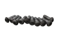 Remschijfschroeven Torx voor en achter set BMW F 800 ST K71 0234 06-12