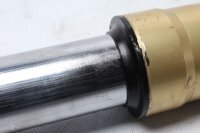 Gabelholm links Vordergabel Standrohr Dämpfer Ducati Monster 600 ZDM600M 94-98