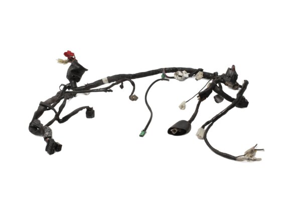 Faisceau de câbles, faisceau de câbles principal, système électrique Yamaha FSZ 1000 Fazer RN14 05-05