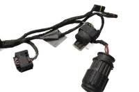 Cablaggio principale, impianto elettrico, accensione, cablaggio BMW F 800 ST K71 0234 06-12