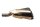 Exhaust muffler silencer exhaust pipe Kawasaki Z 1000 D ZRT00D 10-13