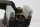 Starter relay, solenoid switch, main fuse Yamaha FSZ 1000 Fazer RN14 05-05