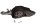 protège-chaîne, couvercle de pignon, chaîne de transmission BMW F 800 ST K71 0234 06-12
