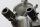 Pompa dellacqua, alloggiamento del radiatore, tubo flessibile del radiatore 222770 BMW F 800 ST K71 0234 06-12