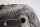 Culasse, cache-culbuteurs gauche, guide de soupape BMW R 1100 S 259 0422 R2S 98-05
