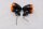 Blinkerpaar LED schwarz orange links rechts Harley-Davidson universell