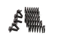 Clutch springs, screw set, clutch basket set Kawasaki ZR...