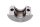 Bremspumpen Klemmschelle vorne Chrom Lenkerhalter Harley-Davidson universell