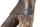 Udstødningsmanifoldens opsamler dobbeltrørstilslutning BMW R 1100 GS 259 0409 93-99