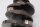 Kurbelwelle Antrieb Pleuellager Schmiedewelle BMW R 1200 RT R12T K26 0368 05-09