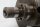 Krumtapaksel krumtapaksel motoraksel drejningsmoment BMW R 1100 GS 259 0409 93-99