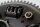 Cestello frizione, smorzamento molla, ingranaggio di trasmissione BMW F 800 ST K71 0234 06-12