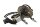 Kraftstoffpumpe Benzinpumpe Kraftstoffgeber Filter BMW R 1100 GS 259 0409 93-99