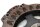 Clutch kit pressure plate driven plate BMW R 1100 GS 259 0409 93-99