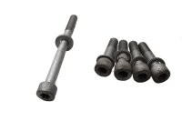 Schroevenset, kuip, frame, set, moeren BMW R 1100 GS 259 0409 93-99