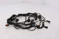 Cablaggio, set di connettori, collegamento di componenti elettrici per motociclette Unbekannt Konvolut