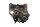 Getriebe Gehäuse Eingangswelle Abgangswelle BMW R 1200 RT R12T K26 0368 05-09