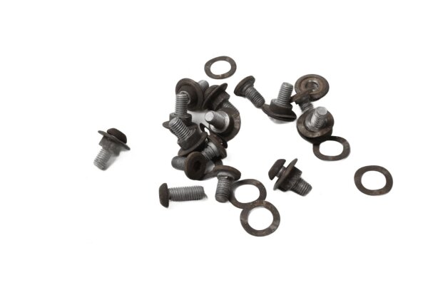 Remschijfschroevenset met sluitringen BMW R 1100 GS 259 0409 93-99
