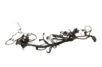 Kabelboom, hoofdkabelboom, relaiskast, zekeringen BMW R 1100 GS 259 0409 93-99
