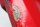 Fuel tank, gasoline tank, red, tank cap attachment BMW R 1100 GS 259 0409 93-99