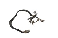 Wiring harness cockpit lighting BMW R 1100 GS 259 0409 93-99