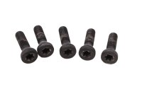 Radschrauben Hinterrad Schraubensatz BMW R 1200 RT R12T K26 0368 05-09