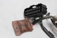 Hauptkabelbaum Kabelbaum Elektrik Anschlüsse Honda FMX 650 FunMoto RD12 05-07