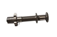 Kurbelwelle Pleuelwellen Antrieb Zahnrad Motor Mechanik...