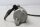 Startmotor, elstart, Mitsuba Honda FMX 650 FunMoto RD12 05-07