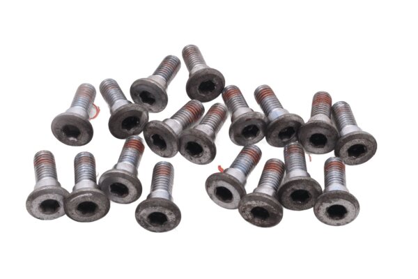 Brake disc screw set, hexagon socket Honda NT 650 V Deauville RC47 98-01