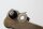 Oil pan splash guard, oil splash plate, oil return plate Honda CB 1300 SC40 98-02